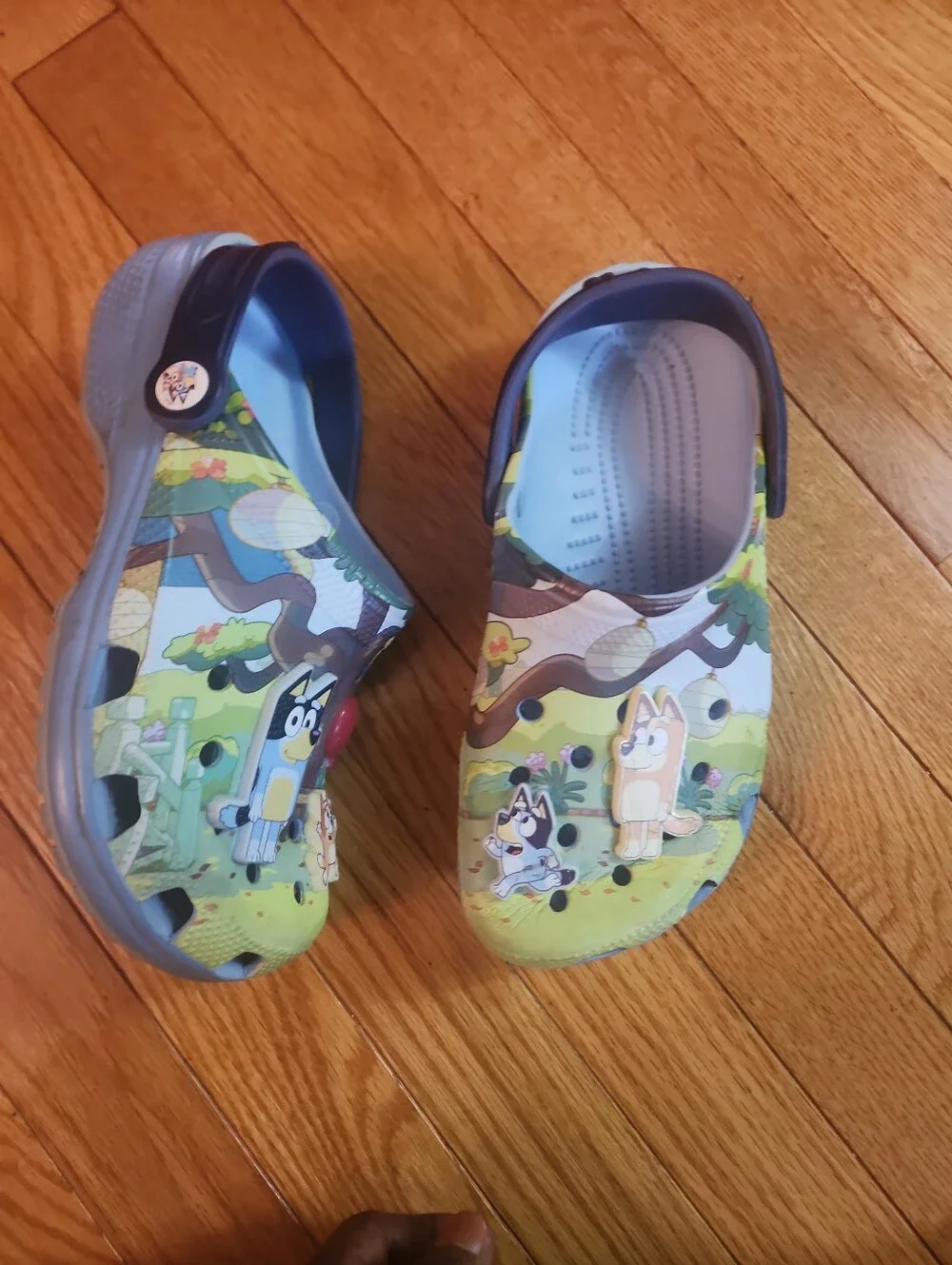 Crocs Classic Bluey Kids' Green & Blue Multicolored Clog Shoes